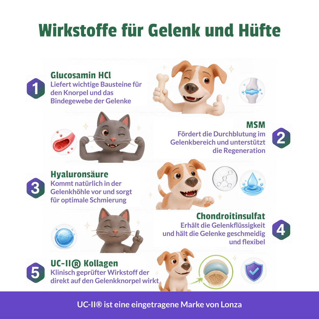 lifepets Gelenk-Formel, Gel-Sachets für Hunde & Katzen