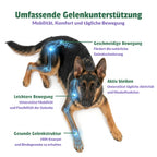 lifepets Gelenk-Formel, Gel-Sachets für Hunde & Katzen