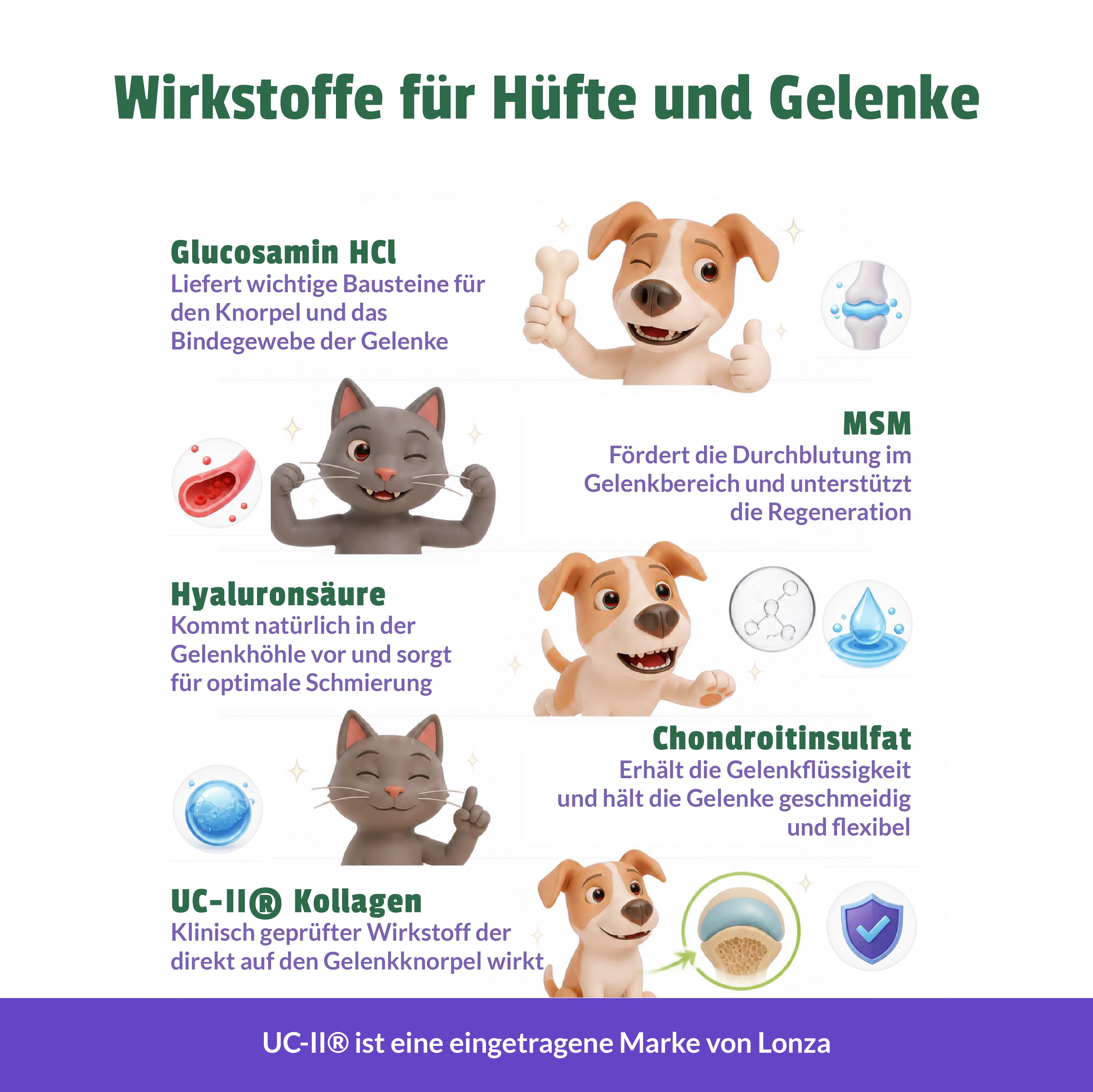 lifepets Gelenk-Formel, Gel-Sachets für Hunde & Katzen
